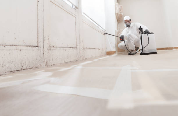 24/7 Emergency Mold Testing experts in Wheeling, IL