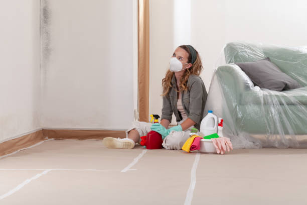 Reliable Mold Testing contractor in Wheeling, IL by WQB Mold Removal